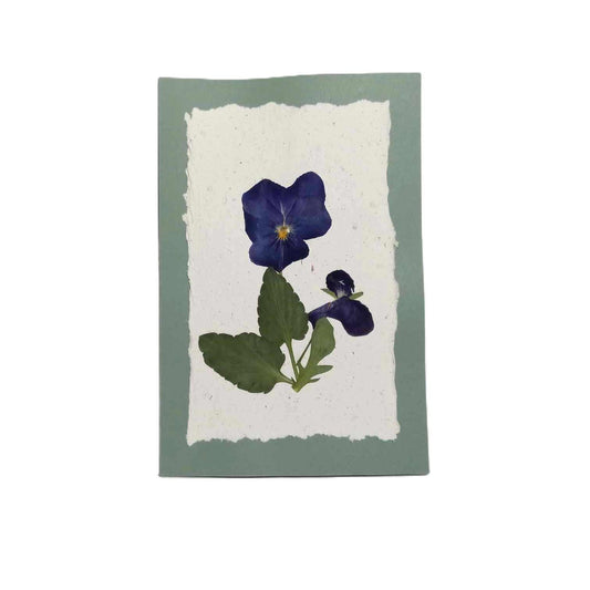 Handmade paper Pressed Wild Flowers Botanical Card Herbarium Art with Envelope Wild Pansy