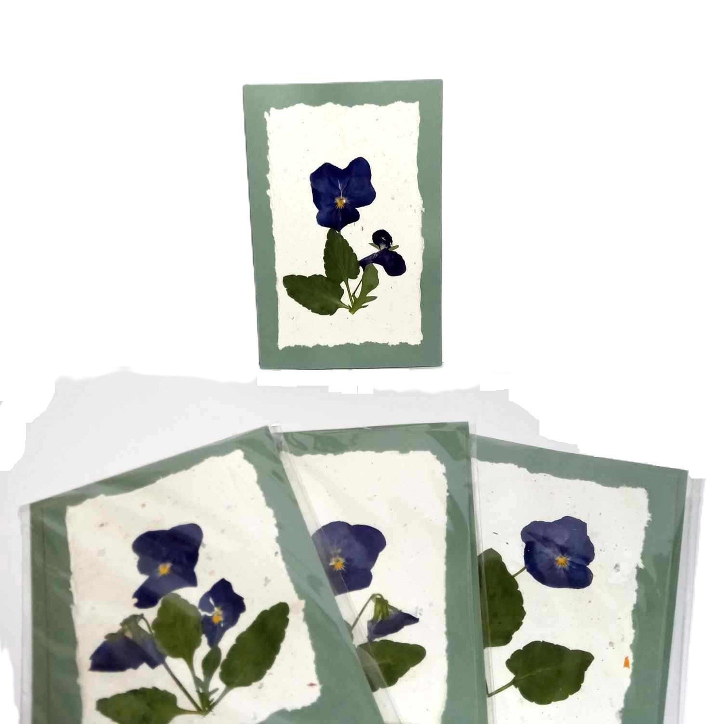 Handmade paper Pressed Wild Flowers Botanical Card Herbarium Art with Envelope Wild Pansy